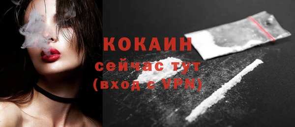 шишки Белоозёрский