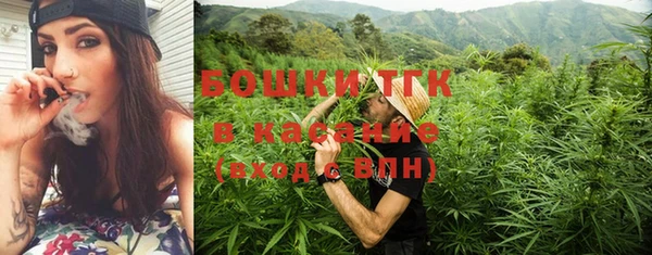 СК Бронницы